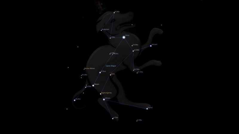 Canis Major Constellation