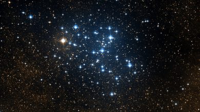 M6, Butterfly Cluster, Aculeus