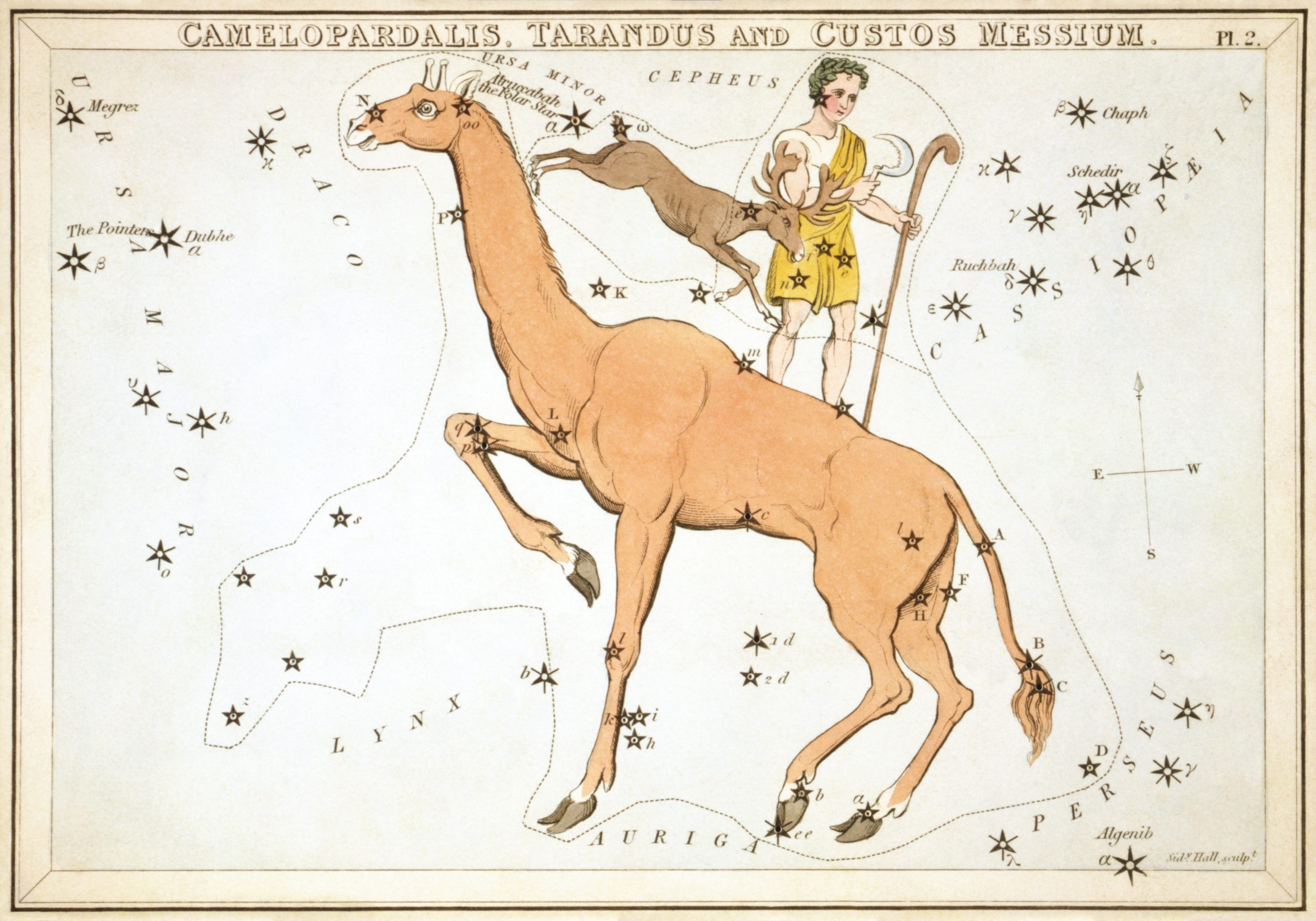 Camelopardalis Constellation