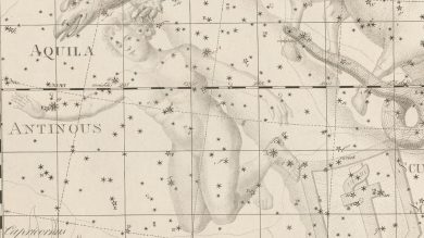 Antinous Constellation