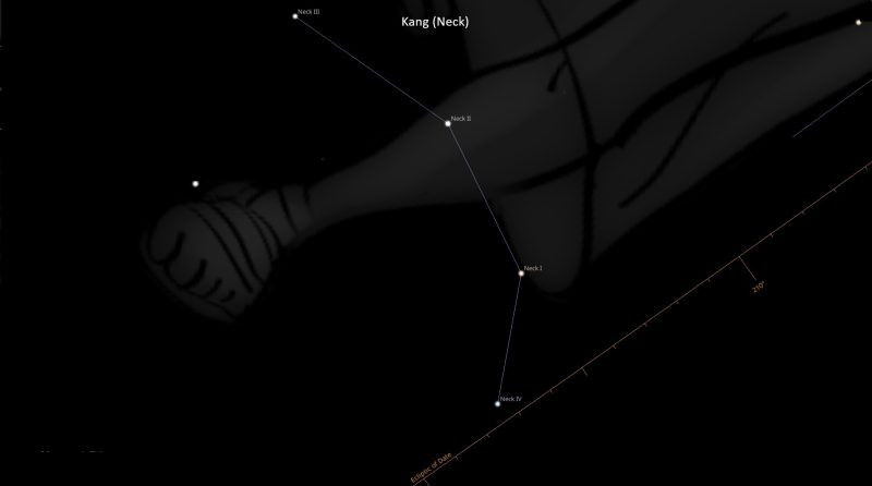 Asterism Kang – Neck