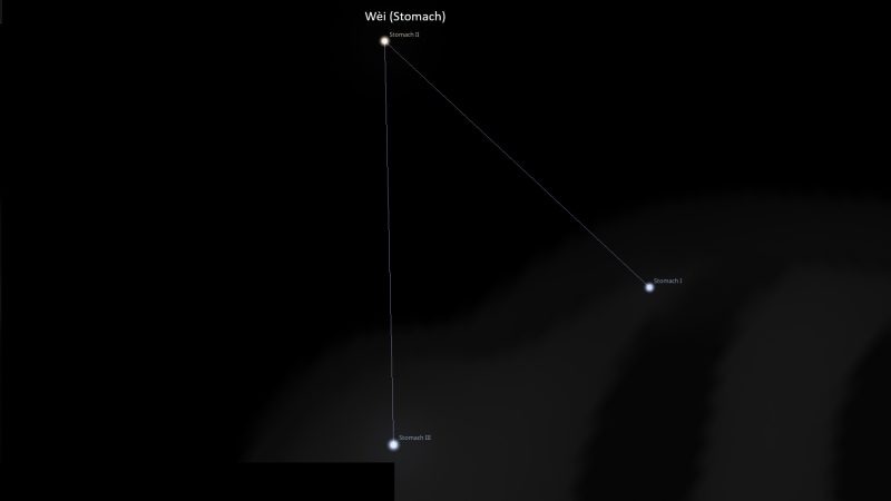 Asterism Wei (Stomach)
