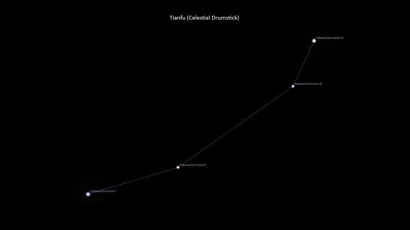 Asterism Tianfu – Celestial Drumstick