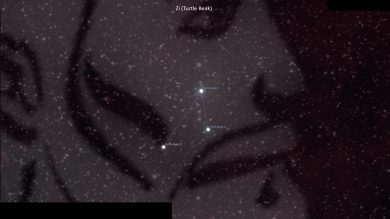Asterism Zi – Turtle Beak