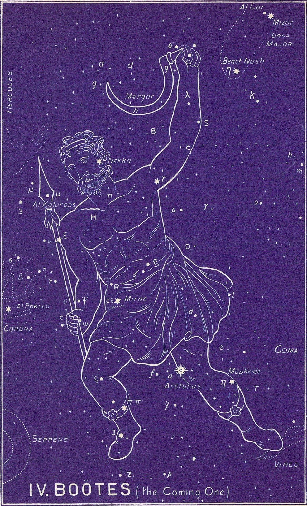 Boötes Constellation, Bullinger