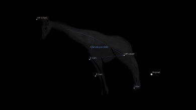 Camelopardalis Constellation