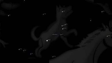 Fixed Star Gomesia