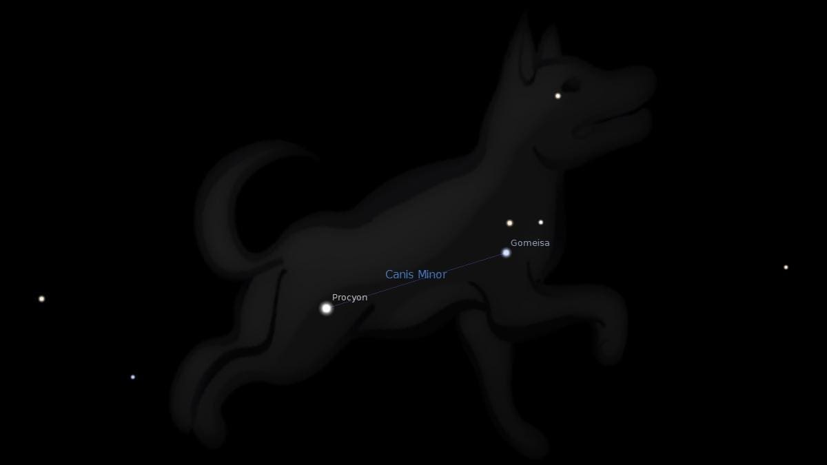Яркая звезда в созвездии большого пса. Процион Созвездие малого пса. Процион звезда в созвездии малого пса. Созвездия большой пёс и малый пёс. Канис Созвездие.