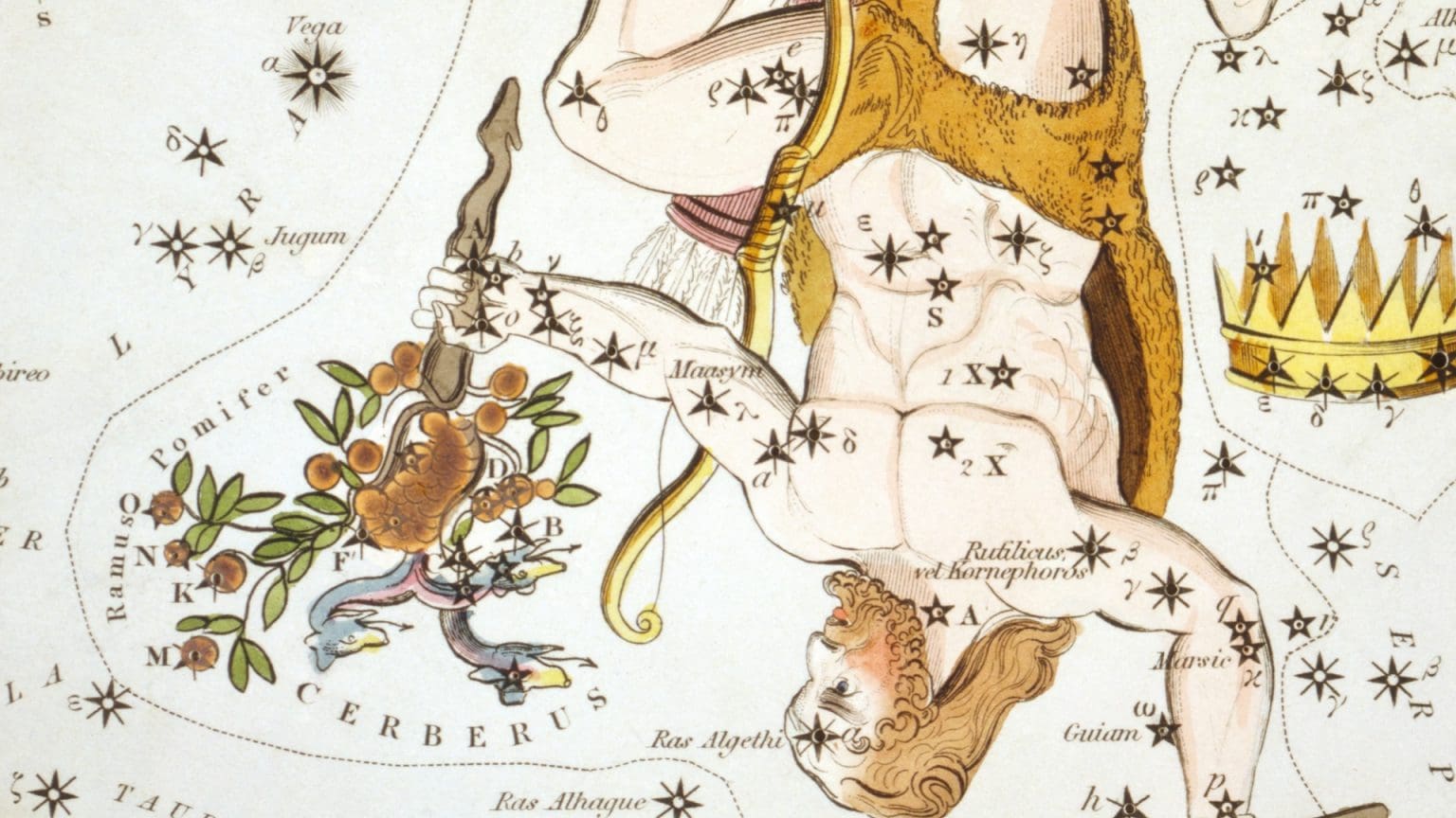 Cerberus Constellation Stars – Astrology King