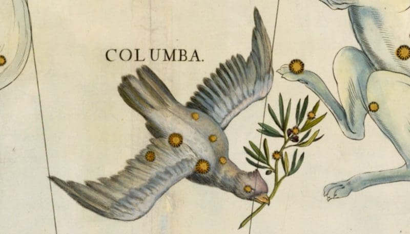 Columba Constellation Astrology