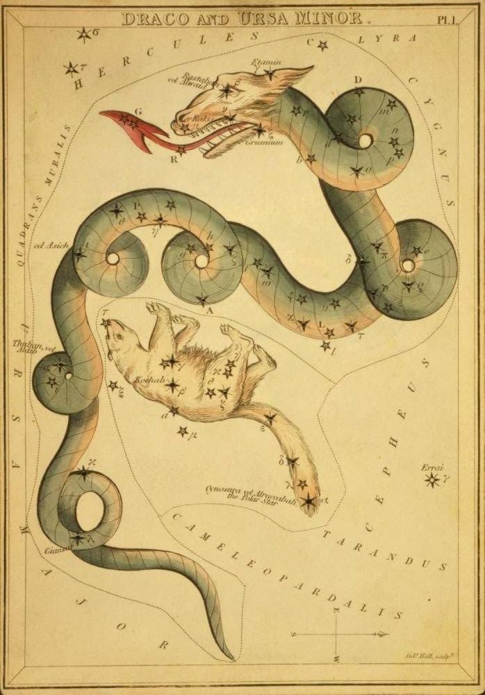 Constellation Draco Astrology