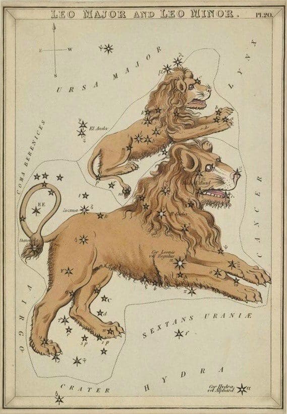 Constellation Leo Astrology