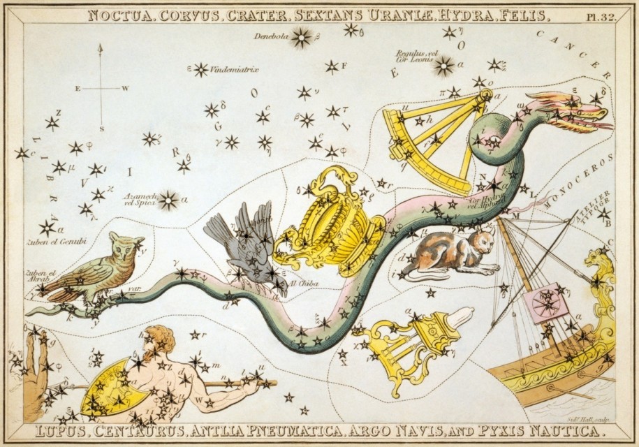 Constellation Noctua Astrology