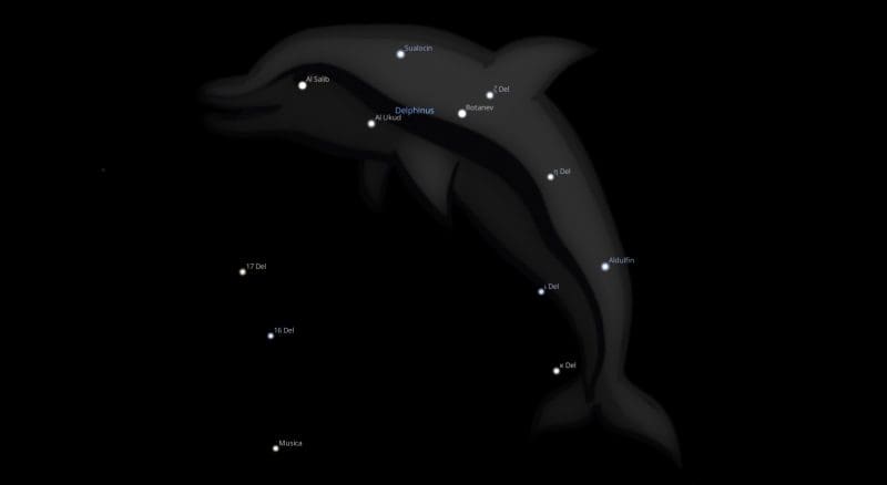 Delphinus Constellation