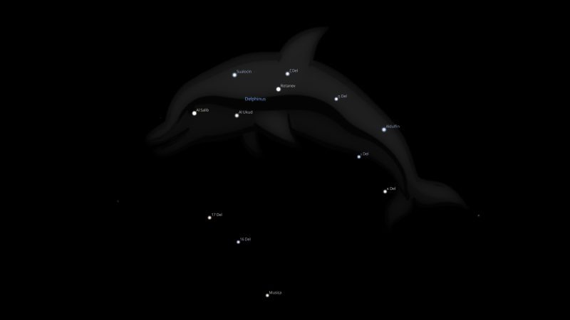 Delphinus Constellation