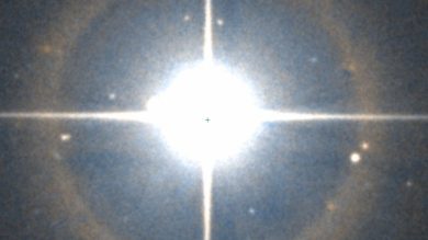 Delta Cancri, Asellus Australis