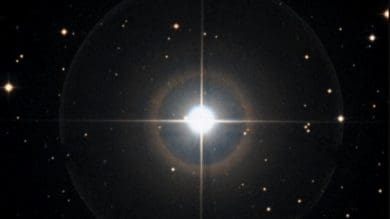 Delta Cancri, Asellus Australis