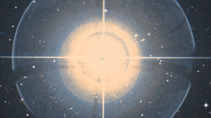 Delta Capricorni, Deneb Algedi