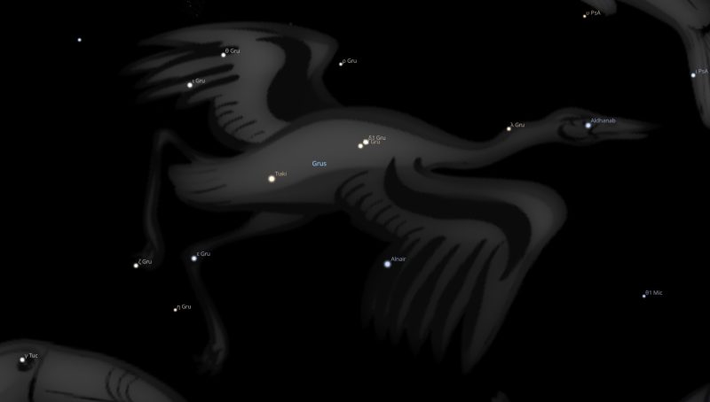 Grus Constellation