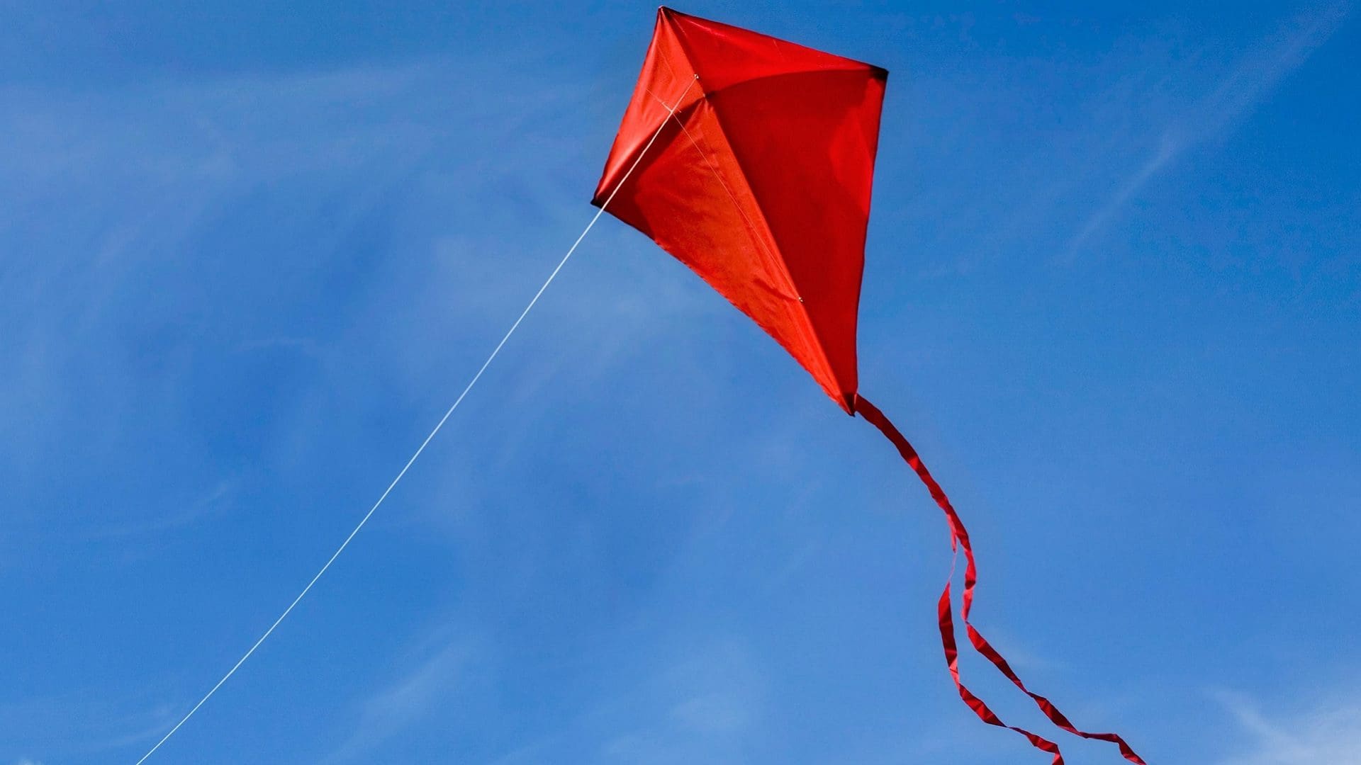 A kite