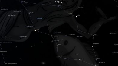 Kui Asterism Kui – Legs