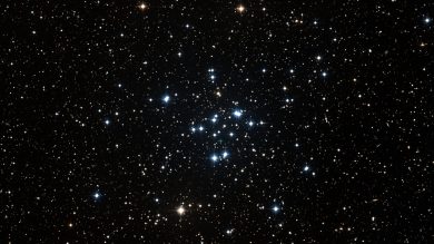 M34, Capulus