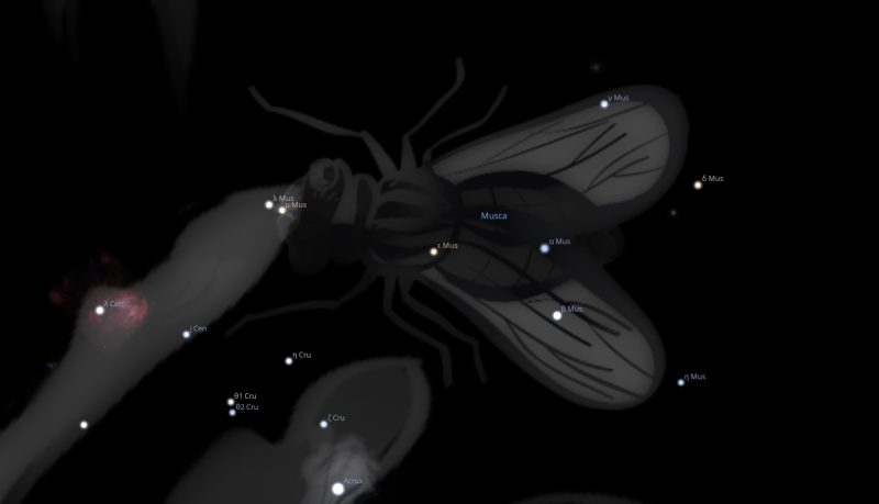 Musca Constellation