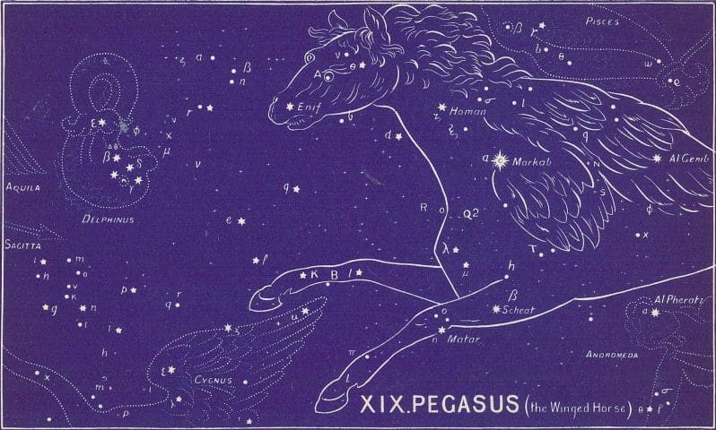 Pegasus, Bullinger