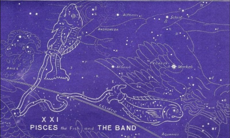 Pisces Constellation, Bullinger