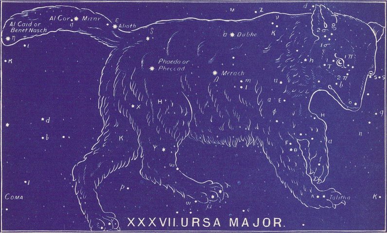 Ursa Major, Bullinger