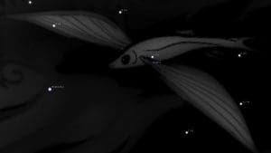 Volans Constellation – Astrology King